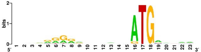 :scale 80%