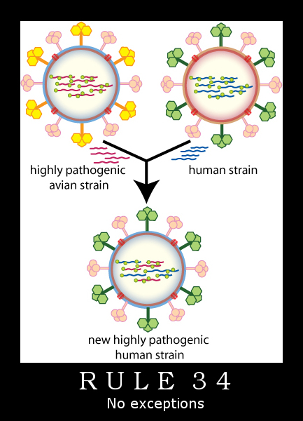 virus_rule34.jpg